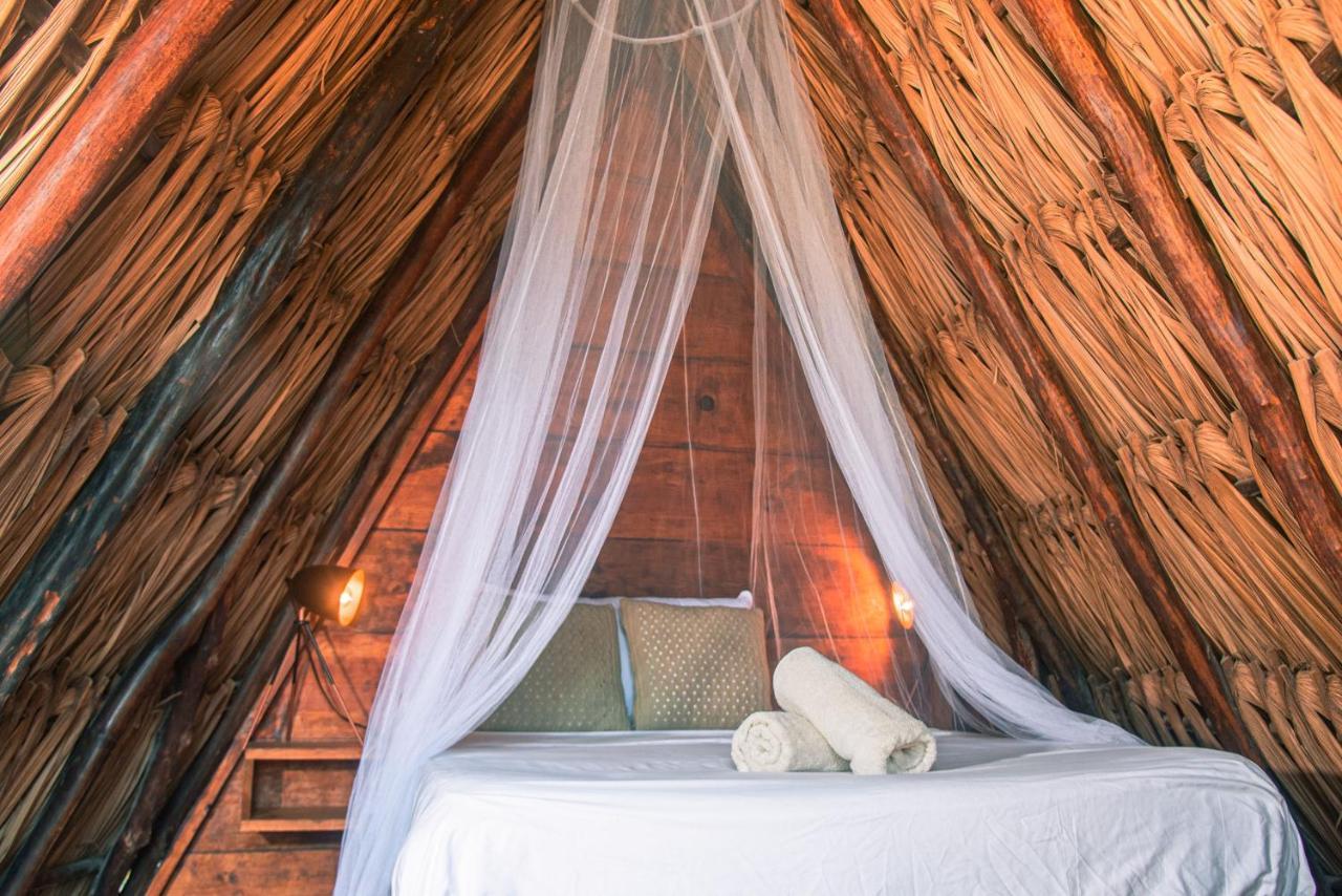Mapache Hostel & Camping Isla Holbox Ngoại thất bức ảnh