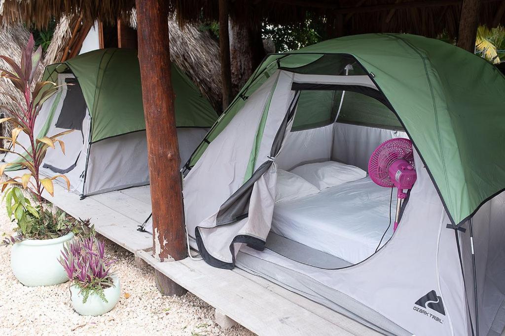 Mapache Hostel & Camping Isla Holbox Ngoại thất bức ảnh