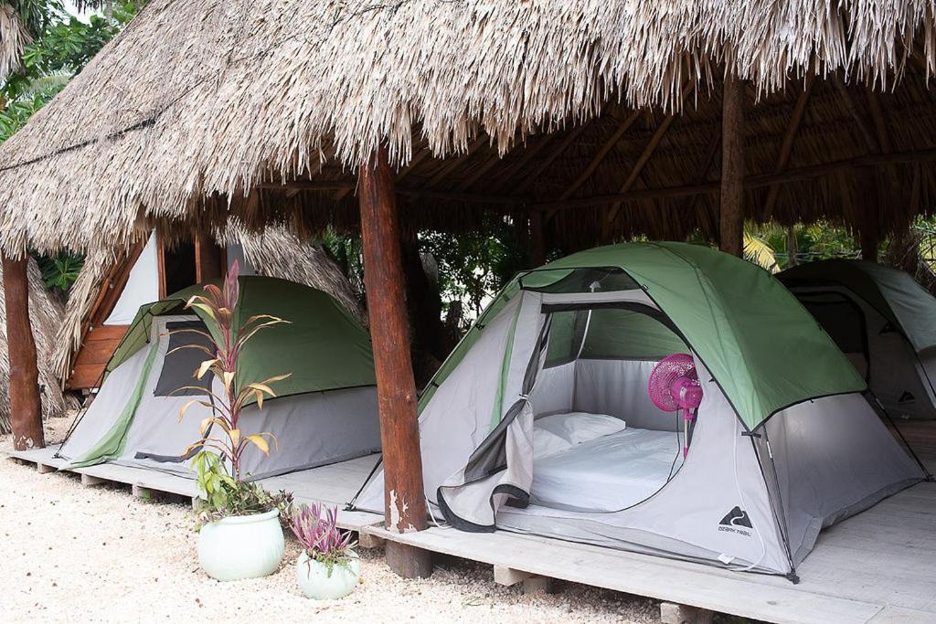 Mapache Hostel & Camping Isla Holbox Ngoại thất bức ảnh